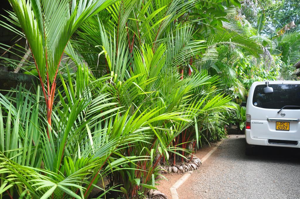 The Fence Bed & Breakfast Bentota Ngoại thất bức ảnh