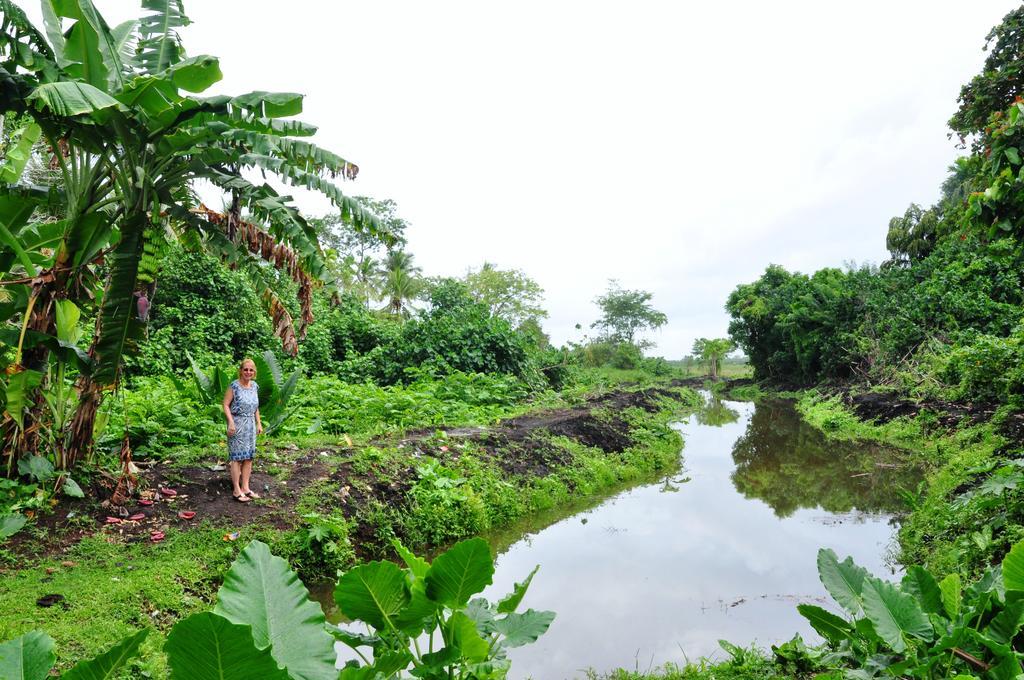 The Fence Bed & Breakfast Bentota Ngoại thất bức ảnh
